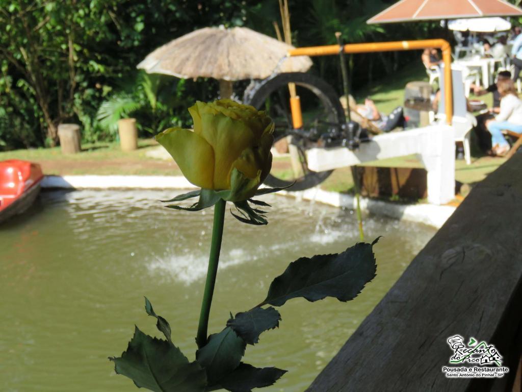 Pousada E Restaurante Recanto Do Pico Santo Antônio do Pinhal Exterior foto
