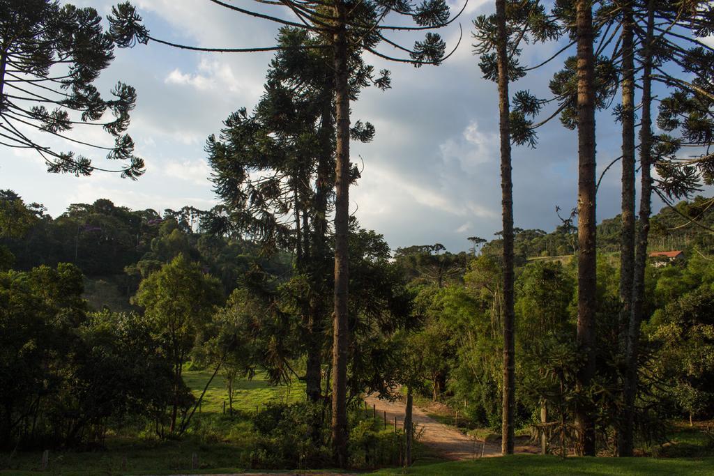 Pousada E Restaurante Recanto Do Pico Santo Antônio do Pinhal Exterior foto